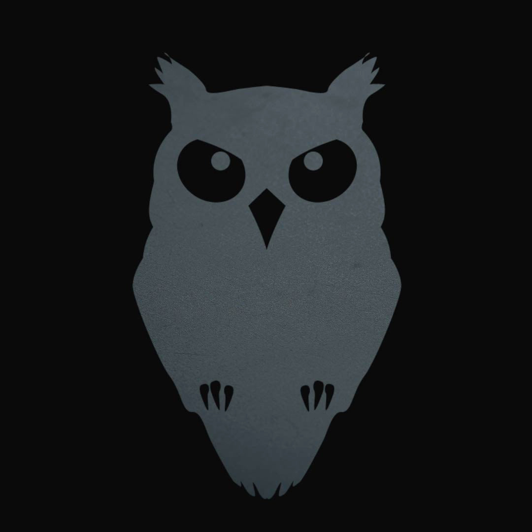 Timebeat Owl Grey